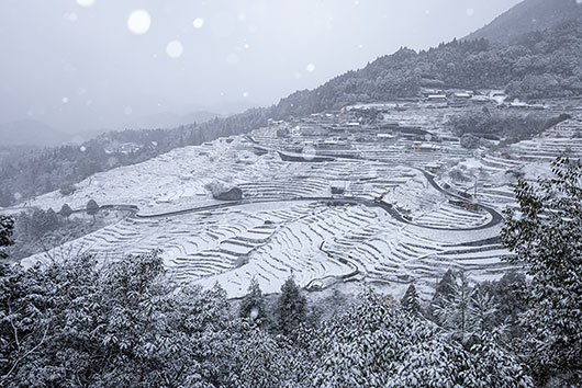 �ቻ�ς����ێR�疇�c