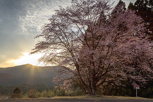 �N�}�m�U�N��