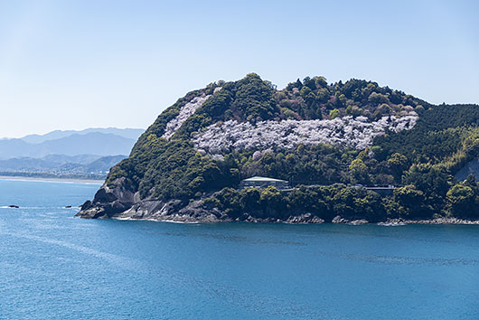 鬼ケ城の桜
